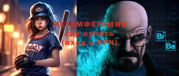 сатива Инта