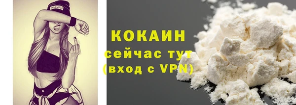 сатива Инта