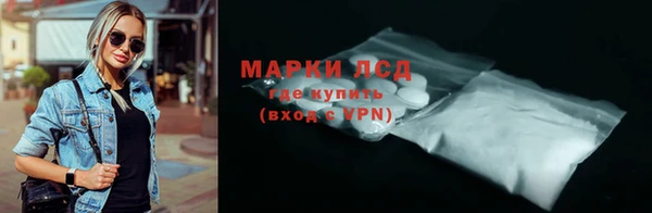 сатива Инта